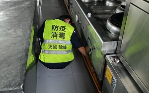 濮陽(yáng)飯店除蟑滅老鼠